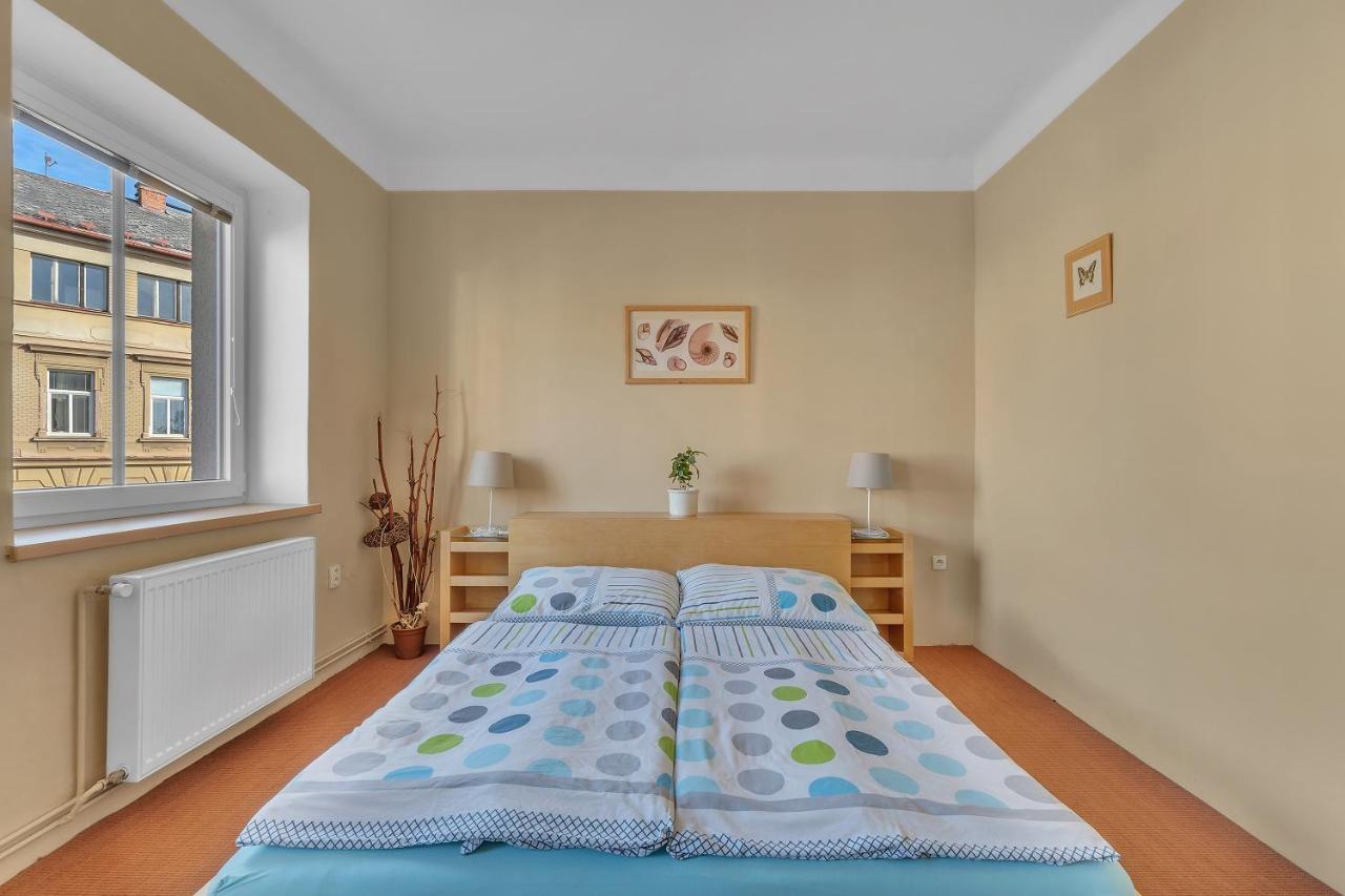 Apartman U Javorky Lázně Bělohrad エクステリア 写真